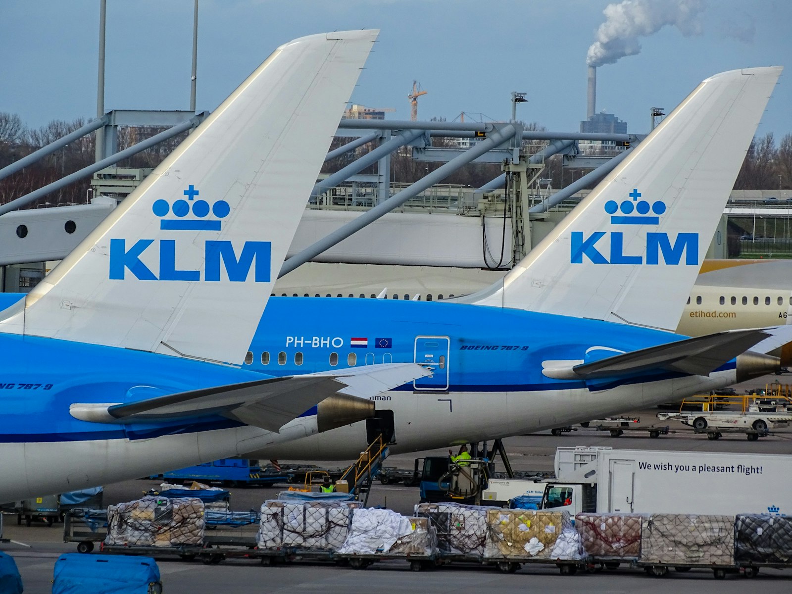 Staarten van twee KLM-toestellen op Schiphol met vrachtpallets op het platform